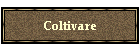 Coltivare