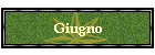 Giugno